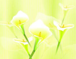 花朵移門(mén)圖片