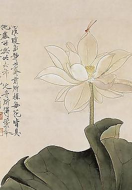 工笔花鸟图片