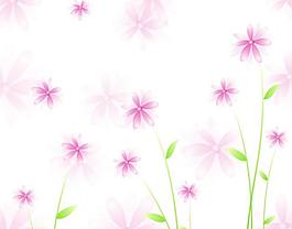 花朵移門圖片