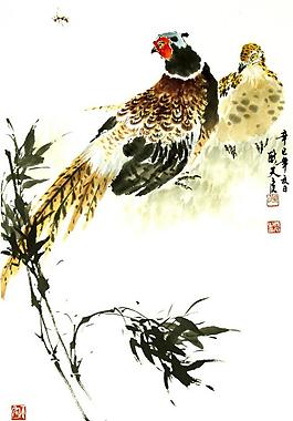 雉鸡图片