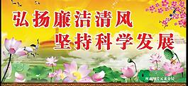 荷花圖片