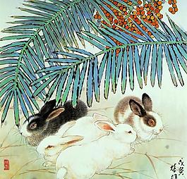 長(zhǎng)毛兔圖片