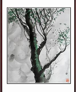 孤樹常綠圖片