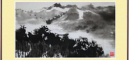 林間鳥音圖片