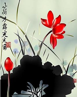 荷花圖片