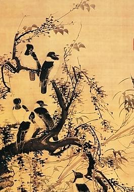 群鳥 樹枝圖片