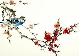藍(lán)鸚鵡梅花圖片