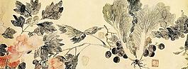 白菜圖片