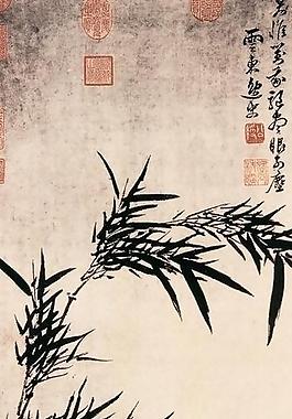竹 石頭圖片