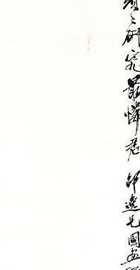 玉簪花圖片
