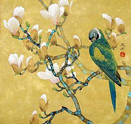 玉蘭鸚鵡圖片