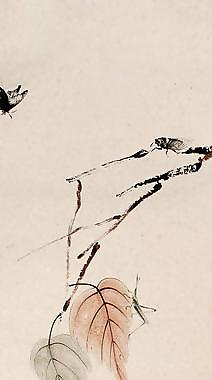 清秋图片