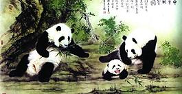 大熊貓圖片