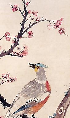 雉鸡梅花图图片