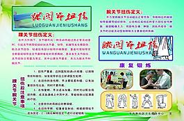 踝關(guān)節(jié)知識展板圖片