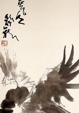 雄鷹圖片