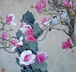 玉蘭小鳥圖片