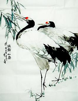 白鹤图图片