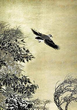 昌盛图片