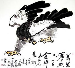 雄鷹圖圖片