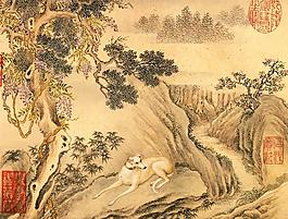 山狗圖圖片