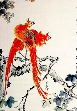火鳳凰圖片