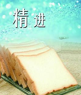 切片展板圖片