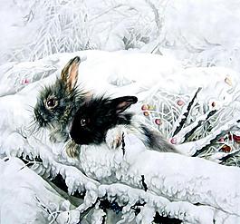 雪中雙兔圖片