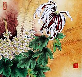 秋美人圖片