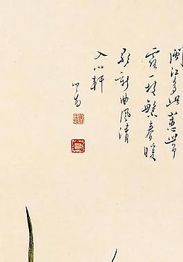 蘭花圖圖片