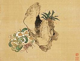 花卉奇石小品圖片