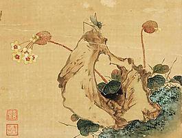花卉奇石小品圖片