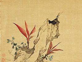 花卉奇石小品圖片