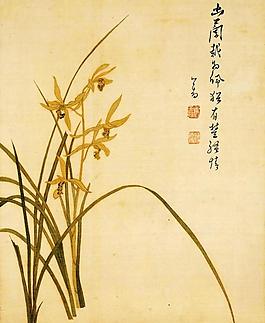 蘭花圖圖片