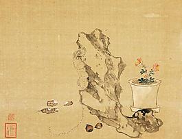 花卉蟲奇石小品圖片