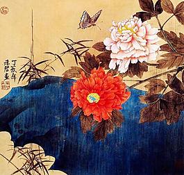 芳香圖片