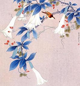 花鳥小品圖片