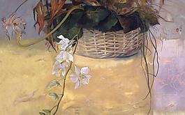 白花圖片
