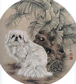 寵物犬圖片