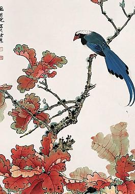 蓝鸟红叶图片