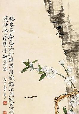 懸崖花蝶圖圖片