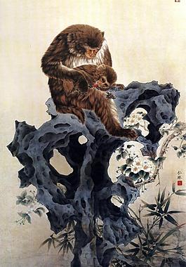 呵護圖片