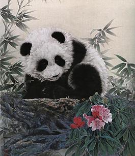 大熊貓圖片