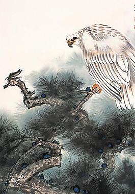 松鷹圖圖片