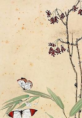 青城異卉圖片