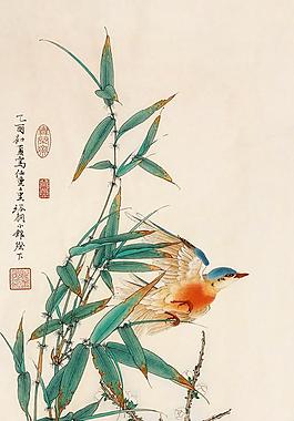 花鸟图片