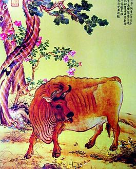 黃牛圖圖片