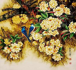梨花情圖片