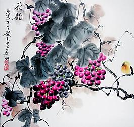 葡萄小鳥圖片