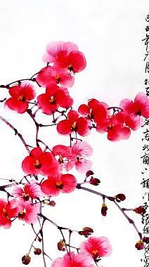 芳菲圖片